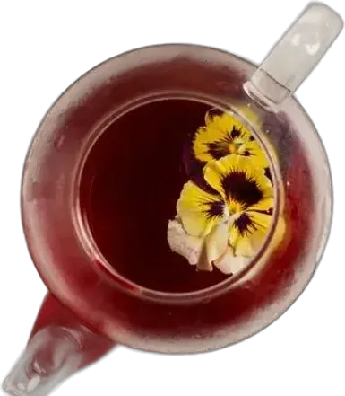 Brewed Horizon servi en théière de verre, fleurs de pensée